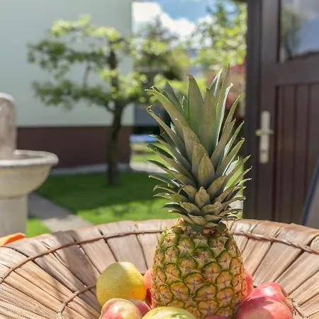 Apartma Franko Radovljica