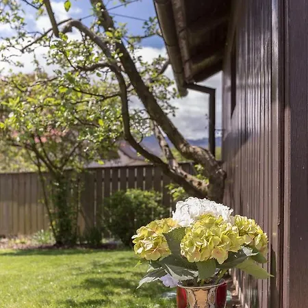 Daire Franko Radovljica